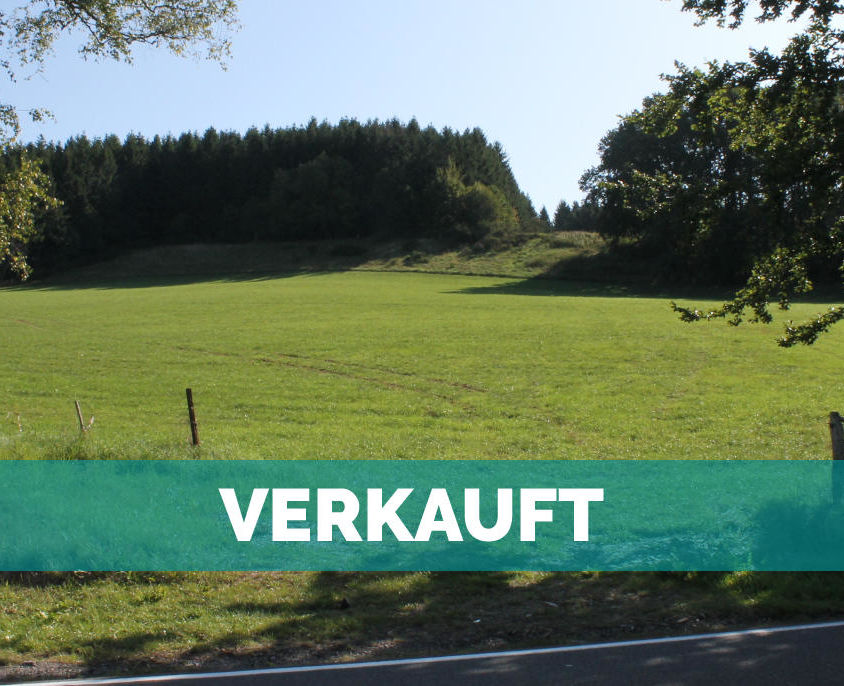 Lengeler, Burg Reuland
