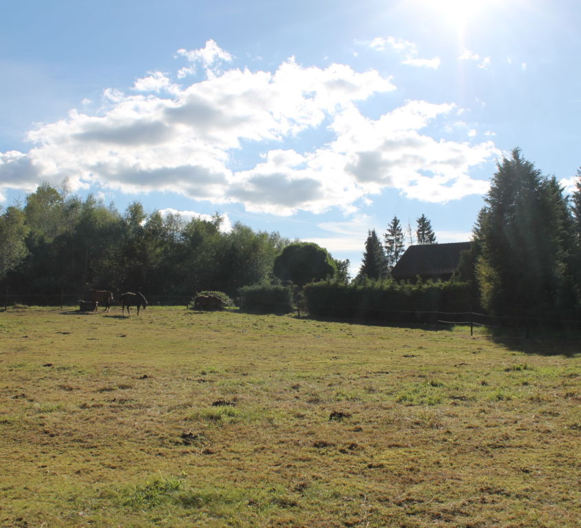 Recht, Am Büchel