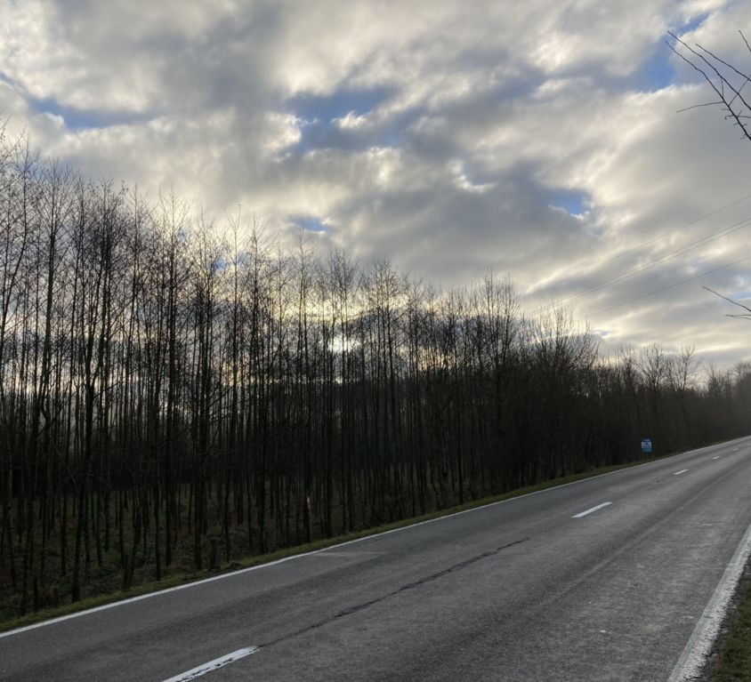 Cockaifagne, N640