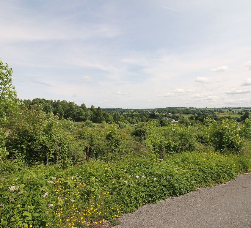 Am Wolfsbusch, Montenau (S3)
