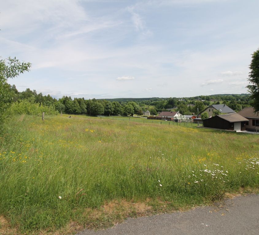 Am Wolfsbusch, Montenau (S1)