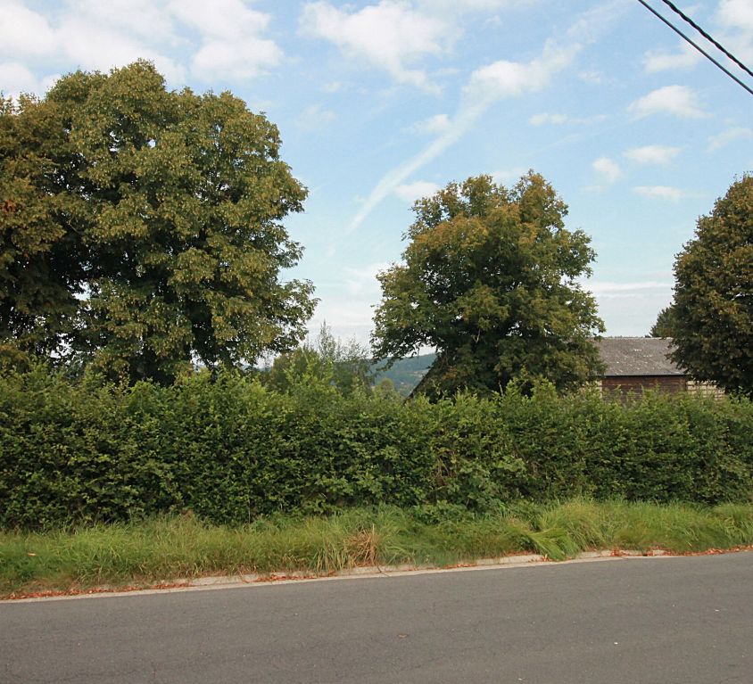 Recht, Bahnallee (Los 4)
