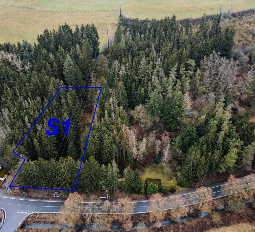 Burg-Reuland, Lindenallee