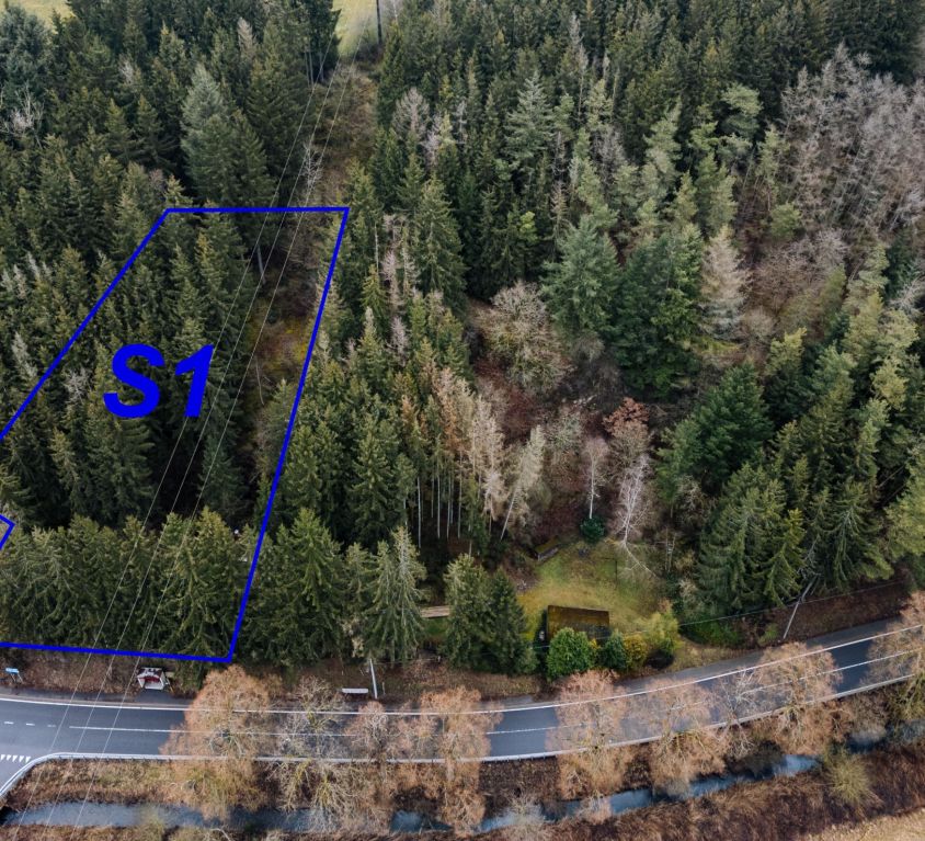 Burg-Reuland, Lindenallee